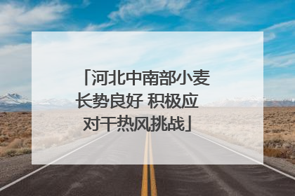 河北中南部小麦长势良好 积极应对干热风挑战