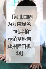 河北曲周为万亩绿色“吨半粮”示范基地创建指挥田机制