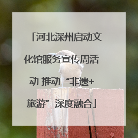 河北深州启动文化馆服务宣传周活动 推动“非遗+旅游”深度融合