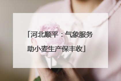 河北顺平：气象服务助小麦生产保丰收