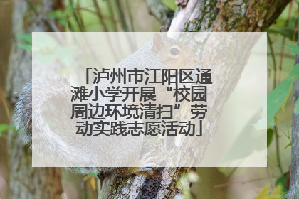 泸州市江阳区通滩小学开展“校园周边环境清扫”劳动实践志愿活动