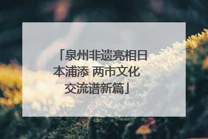 泉州非遗亮相日本浦添 两市文化交流谱新篇