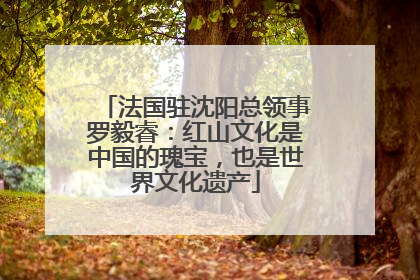 法国驻沈阳总领事罗毅睿：红山文化是中国的瑰宝，也是世界文化遗产