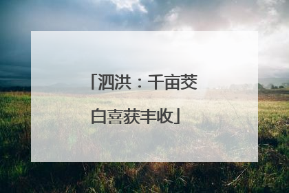 泗洪：千亩茭白喜获丰收