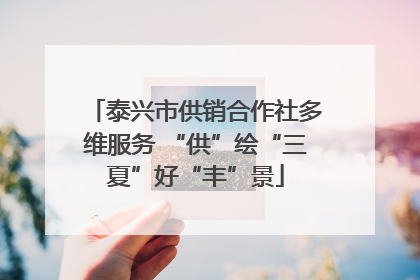 泰兴市供销合作社多维服务 “供”绘“三夏”好“丰”景