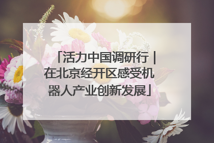 活力中国调研行｜在北京经开区感受机器人产业创新发展