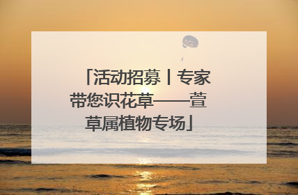 活动招募丨专家带您识花草——萱草属植物专场
