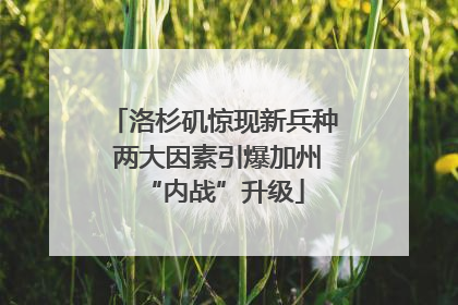 洛杉矶惊现新兵种 两大因素引爆加州“内战”升级