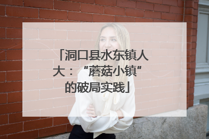 洞口县水东镇人大：“蘑菇小镇”的破局实践
