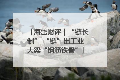 海岱财评｜“链长制” “链”出工业大梁“钢筋铁骨”