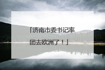 济南市委书记率团去欧洲了！
