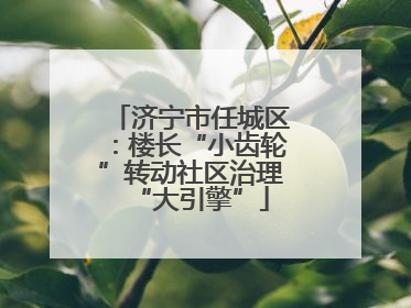 济宁市任城区：楼长“小齿轮”转动社区治理“大引擎”