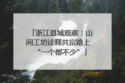 浙江县域观察：山间工坊诠释共富路上“一个都不少”