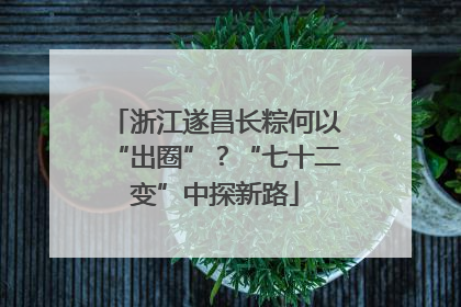 浙江遂昌长粽何以“出圈”？“七十二变”中探新路