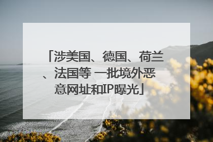 涉美国、德国、荷兰、法国等 一批境外恶意网址和IP曝光