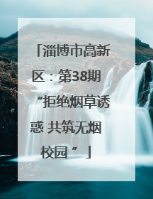 淄博市高新区：第38期“拒绝烟草诱惑 共筑无烟校园 ”