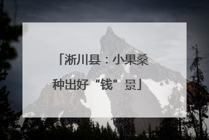 淅川县：小果桑种出好“钱”景