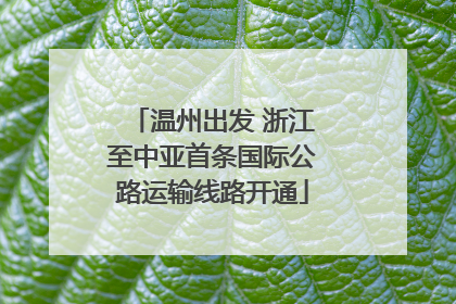 温州出发 浙江至中亚首条国际公路运输线路开通