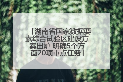 湖南省国家数据要素综合试验区建设方案出炉 明确5个方面20项重点任务