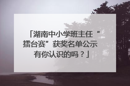 湖南中小学班主任“擂台赛”获奖名单公示 有你认识的吗？
