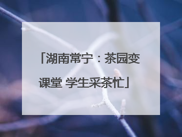 湖南常宁：茶园变课堂 学生采茶忙