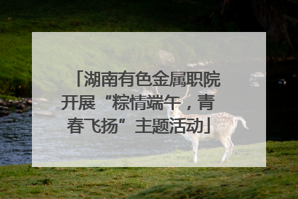 湖南有色金属职院开展“粽情端午，青春飞扬”主题活动