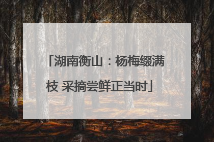 湖南衡山：杨梅缀满枝 采摘尝鲜正当时