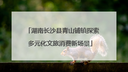 湖南长沙县青山铺镇探索多元化文旅消费新场景