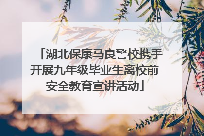 湖北保康马良警校携手开展九年级毕业生离校前安全教育宣讲活动