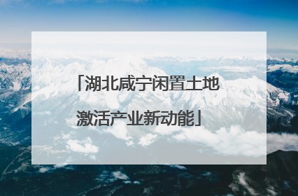 湖北咸宁闲置土地激活产业新动能