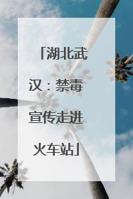 湖北武汉：禁毒宣传走进火车站