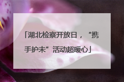 湖北检察开放日，“携手护未”活动超暖心