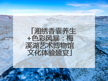 湘绣香囊养生+色彩风暴：梅溪湖艺术博物馆文化体验盛宴