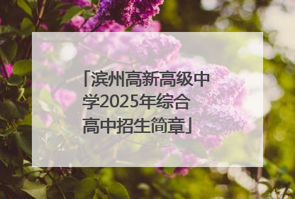 滨州高新高级中学2025年综合高中招生简章