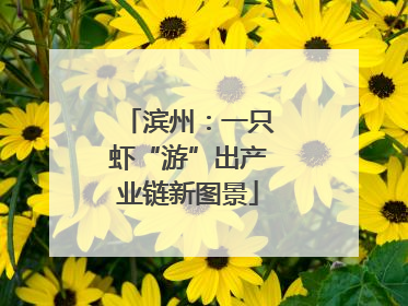 滨州：一只虾“游”出产业链新图景