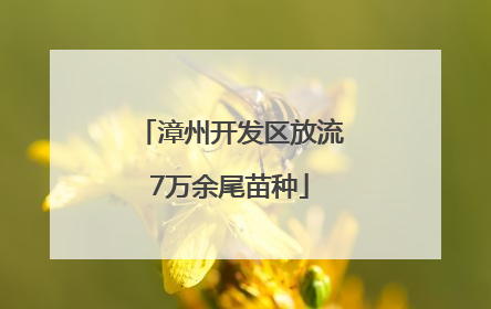 漳州开发区放流7万余尾苗种