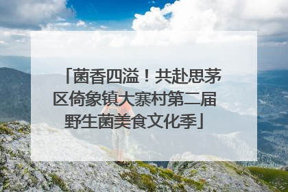 菌香四溢！共赴思茅区倚象镇大寨村第二届野生菌美食文化季