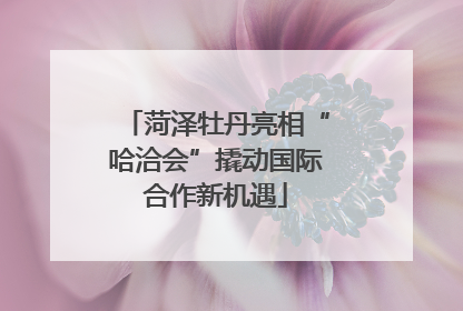 菏泽牡丹亮相“哈洽会”撬动国际合作新机遇