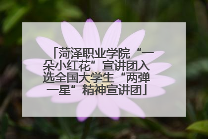 菏泽职业学院“一朵小红花”宣讲团入选全国大学生“两弹一星”精神宣讲团