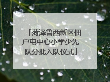 菏泽鲁西新区佃户屯中心小学少先队分批入队仪式
