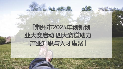 荆州市2025年创新创业大赛启动 四大赛道助力产业升级与人才集聚