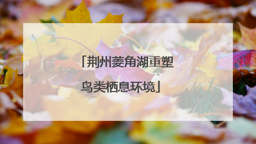 荆州菱角湖重塑鸟类栖息环境