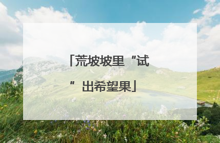 荒坡坡里“试”出希望果