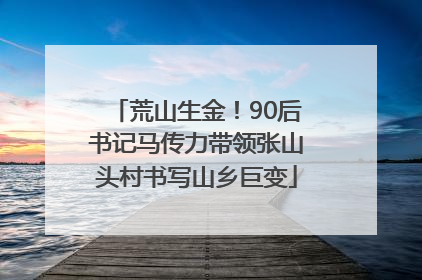 荒山生金！90后书记马传力带领张山头村书写山乡巨变
