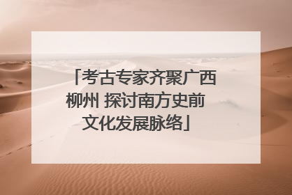 考古专家齐聚广西柳州 探讨南方史前文化发展脉络
