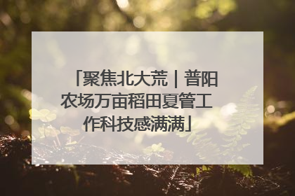 聚焦北大荒｜普阳农场万亩稻田夏管工作科技感满满