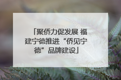 聚侨力促发展 福建宁德推进“侨见宁德”品牌建设