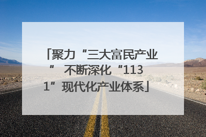 聚力“三大富民产业” 不断深化“1131”现代化产业体系