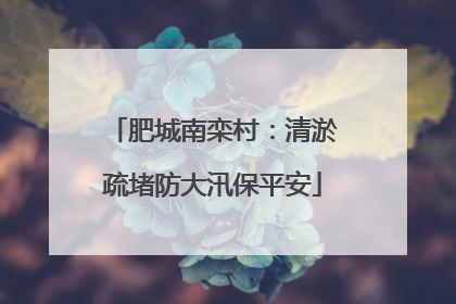 肥城南栾村：清淤疏堵防大汛保平安