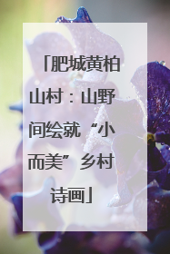 肥城黄柏山村：山野间绘就“小而美”乡村诗画
